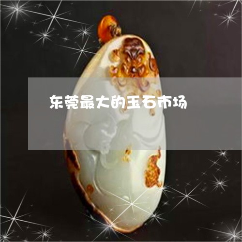 东莞最大的玉石市场/2023060205261