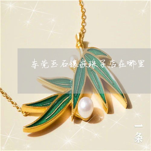 东莞玉石镶嵌珠子店在哪里/2023061929381 东莞玉石镶嵌珠子店在哪里/2023061929381
