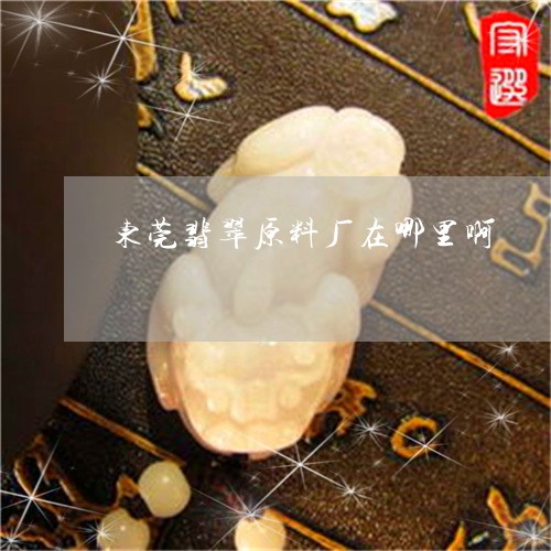 东莞翡翠原料厂在哪里啊/2023062717269