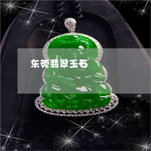 东莞翡翠玉石/2023032026248 东莞翡翠玉石/2023032026248
