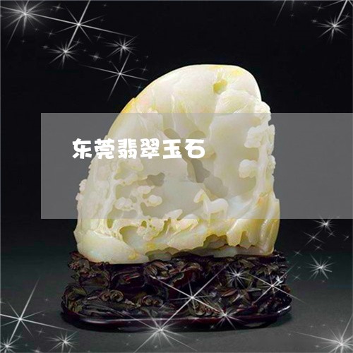 东莞翡翠玉石/2023032097148 东莞翡翠玉石/2023032097148