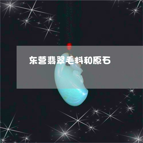 东营翡翠毛料和原石/2023060235168