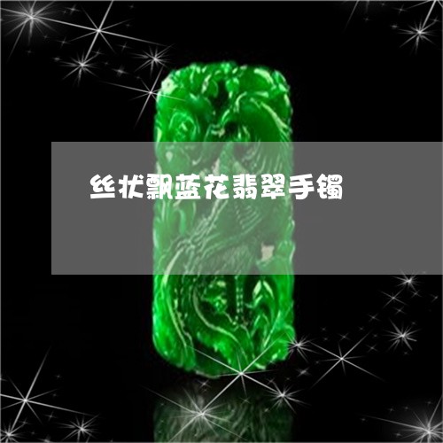 丝状飘蓝花翡翠手镯/2023042560380