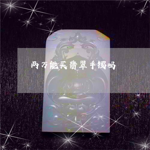 两万能买翡翠手镯吗/2023060159248