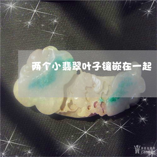 两个小翡翠叶子镶嵌在一起/2023061995462