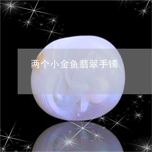 两个小金鱼翡翠手镯/2023060105147