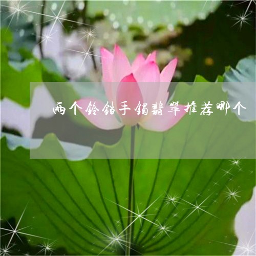 两个铃铛手镯翡翠推荐哪个/2023062937058