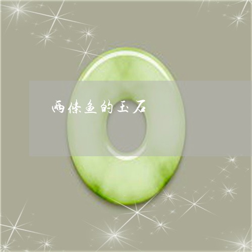 两条鱼的玉石/2023032184957 两条鱼的玉石/2023032184957