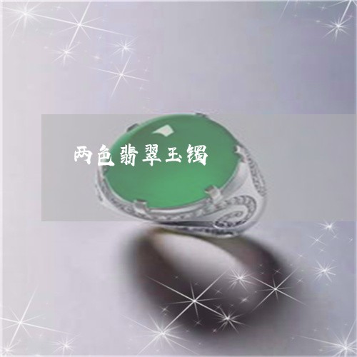 两色翡翠玉镯/2023032147260 两色翡翠玉镯/2023032147260