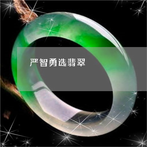 严智勇选翡翠/2023032093825 严智勇选翡翠/2023032093825