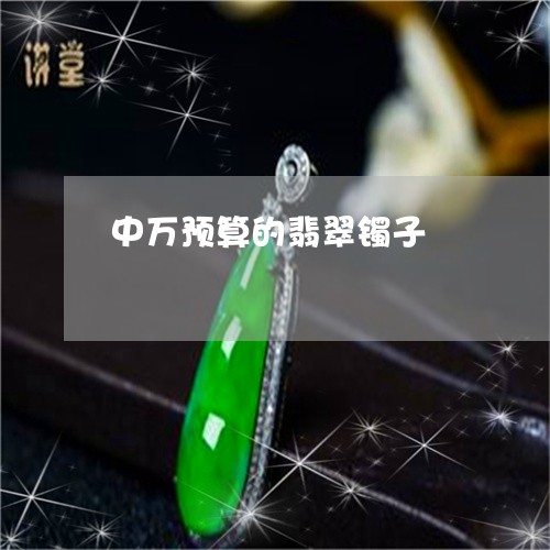 中万预算的翡翠镯子/2023060130794