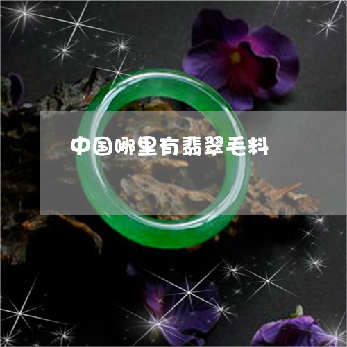 中国哪里有翡翠毛料/2023042581794