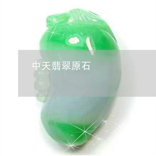 中天翡翠原石/2023032106050 中天翡翠原石/2023032106050