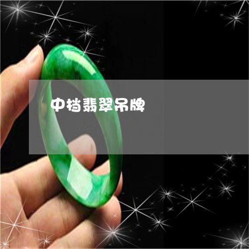 中档翡翠吊牌/2023032148153 中档翡翠吊牌/2023032148153