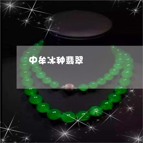 中牟冰种翡翠/2023032137248 中牟冰种翡翠/2023032137248