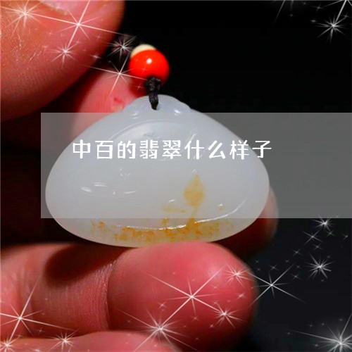 中百的翡翠什么样子/2023060237159