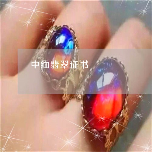 中缅翡翠证书/2023032174047 中缅翡翠证书/2023032174047