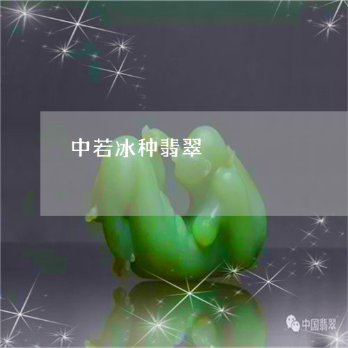 中若冰种翡翠/2023032127161 中若冰种翡翠/2023032127161