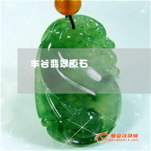 丰谷翡翠原石/2023032173724