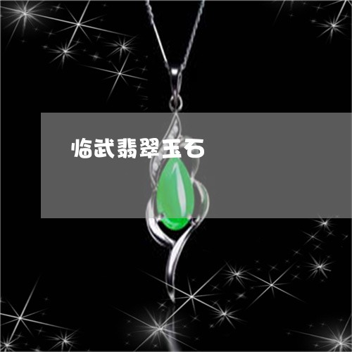 临武翡翠玉石/2023032141816 临武翡翠玉石/2023032141816