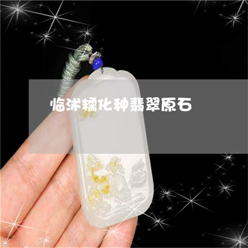 临沭糯化种翡翠原石/2023060105914 临沭糯化种翡翠原石/2023060105914