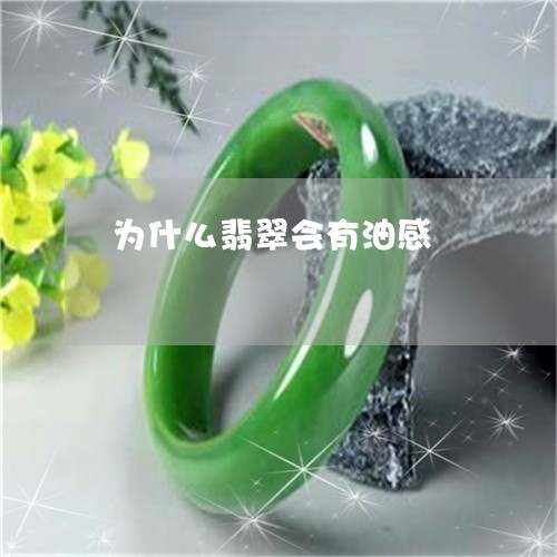 为什么翡翠会有油感/2023042515047 为什么翡翠会有油感/2023042515047
