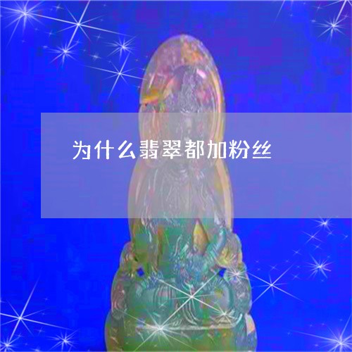 为什么翡翠都加粉丝/2023060217148