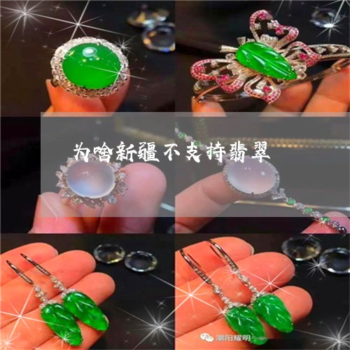 为啥新疆不支持翡翠/2023060238581