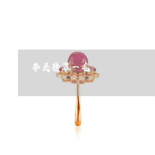 举是翡翠一毛/2023032176737 举是翡翠一毛/2023032176737