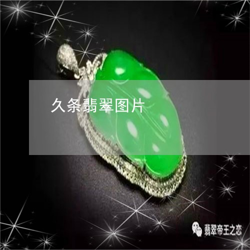 久条翡翠图片/2023032139283 久条翡翠图片/2023032139283