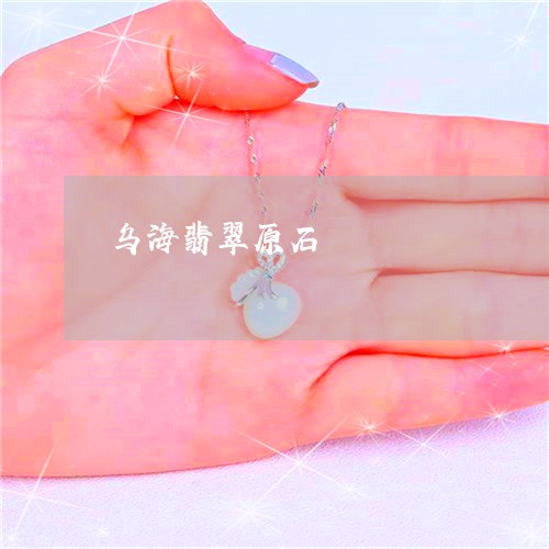 乌海翡翠原石/2023032179725