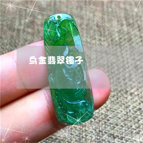 乌金翡翠镯子/2023032171625