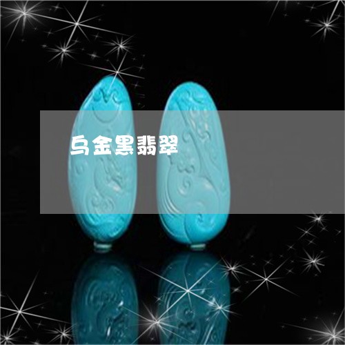 乌金黑翡翠/2023071516047