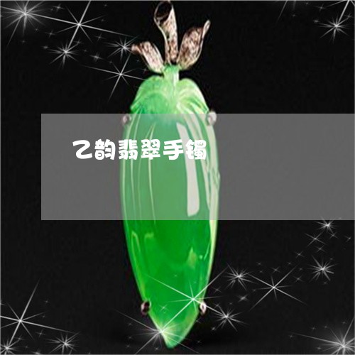 乙韵翡翠手镯/2023032162604 乙韵翡翠手镯/2023032162604