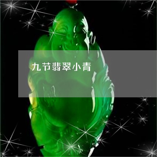九节翡翠小青/2023032136151