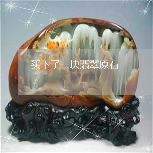 买下了一块翡翠原石/2023042536037 买下了一块翡翠原石/2023042536037