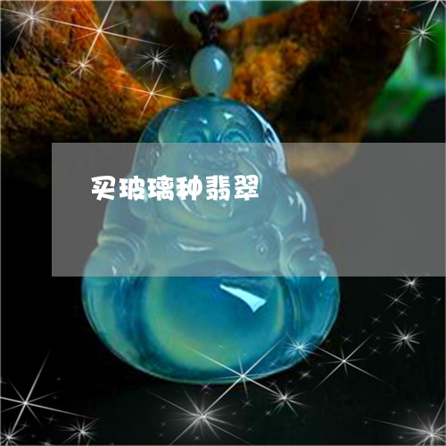 买玻璃种翡翠/2023032162795 买玻璃种翡翠/2023032162795