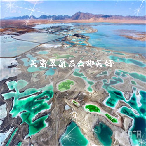 买翡翠原石去哪买好/2023060272613