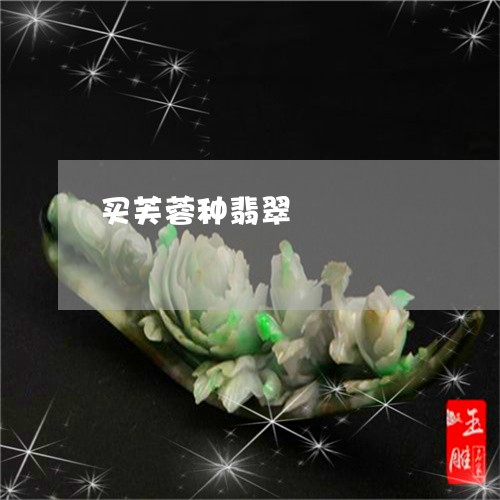 买芙蓉种翡翠/2023032104927 买芙蓉种翡翠/2023032104927