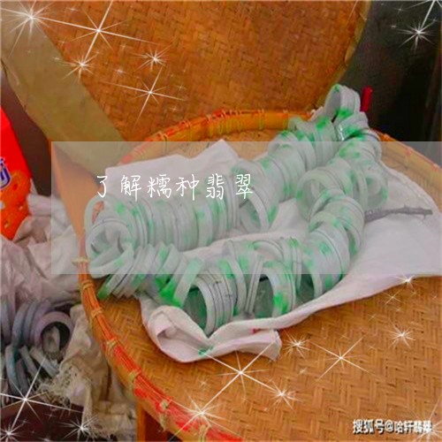 了解糯种翡翠/2023032128949