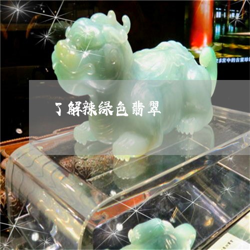 了解辣绿色翡翠/2023022639404 了解辣绿色翡翠/2023022639404