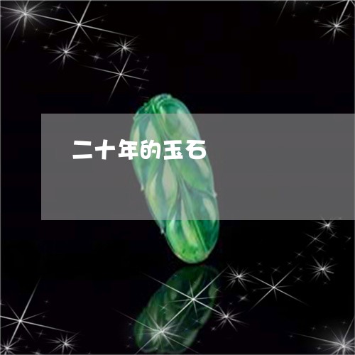 二十年的玉石/2023032026068 二十年的玉石/2023032026068