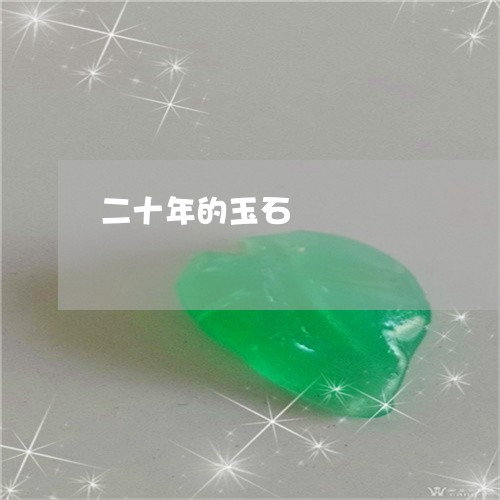 二十年的玉石/2023032038359 二十年的玉石/2023032038359