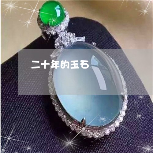二十年的玉石/2023032085035 二十年的玉石/2023032085035