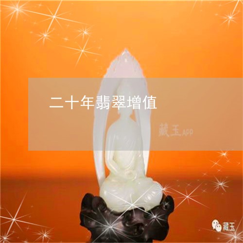 二十年翡翠增值/2023022516259