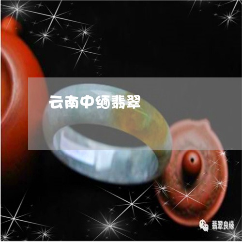 云南中缅翡翠/2023032027158 云南中缅翡翠/2023032027158