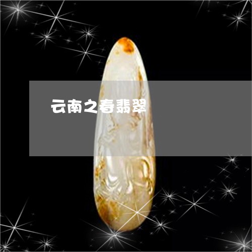 云南之春翡翠/2023032053704 云南之春翡翠/2023032053704