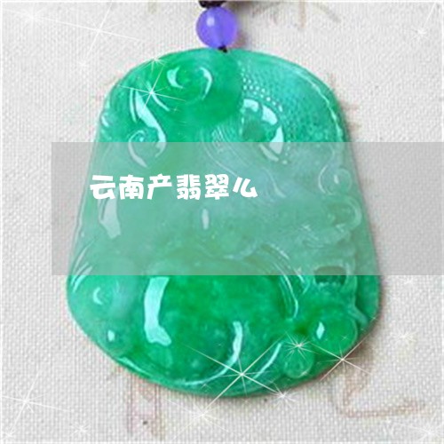 云南产翡翠么/2023032026935 云南产翡翠么/2023032026935