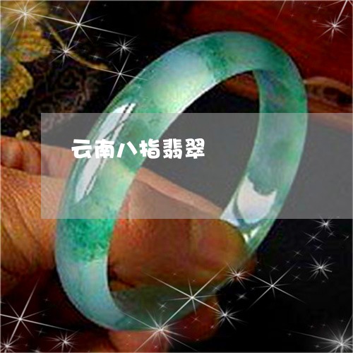 云南八指翡翠/2023032151594 云南八指翡翠/2023032151594