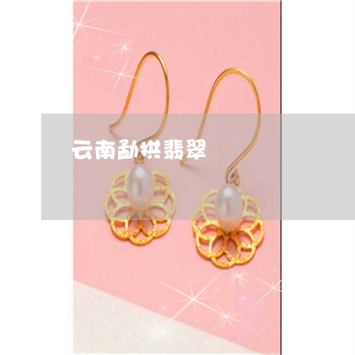 云南勐拱翡翠/2023032116072 云南勐拱翡翠/2023032116072
